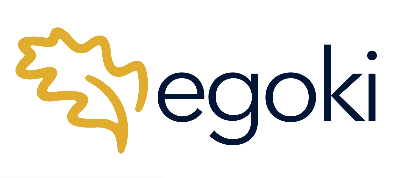 Egoki