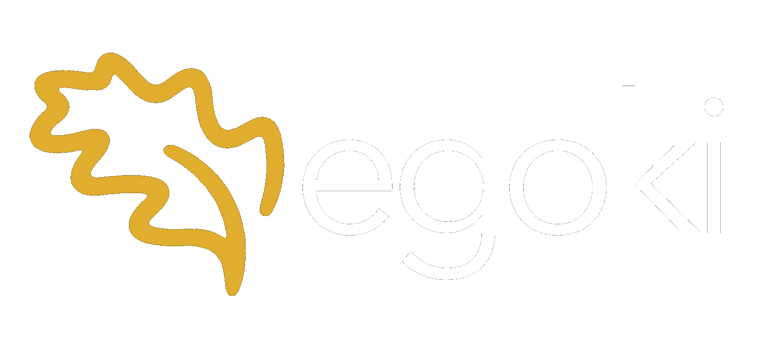 Egoki